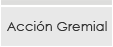 Acci&oacute;n Gremial