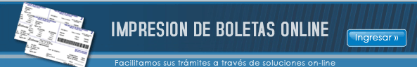 Impresion de boletas online
